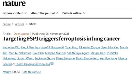 《Nature》重磅：肺癌治疗突破！靶向FSP1蛋白让癌细胞