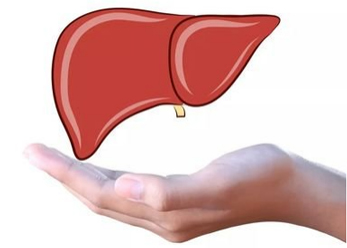 精准阻击丁肝病毒！创新抗体药物II期临床获突破