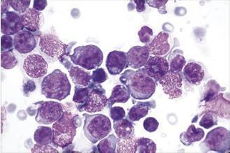 图片7.jpg 图片7.jpg