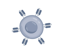 图片7.jpg 图片7.jpg